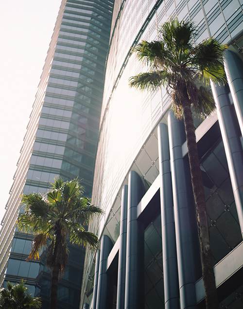 Publicidad para socio